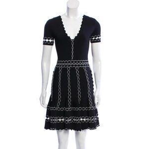 ALEXANDER MCQUEEN Embroidered Flare Mini Dress
Size: S